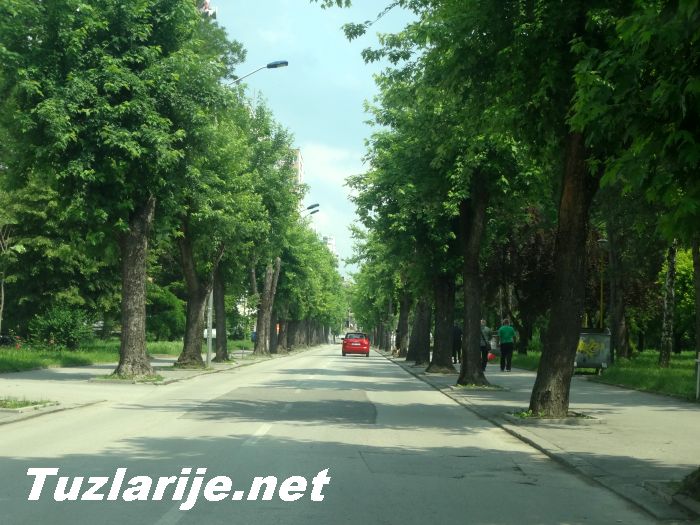 Tuzlarije