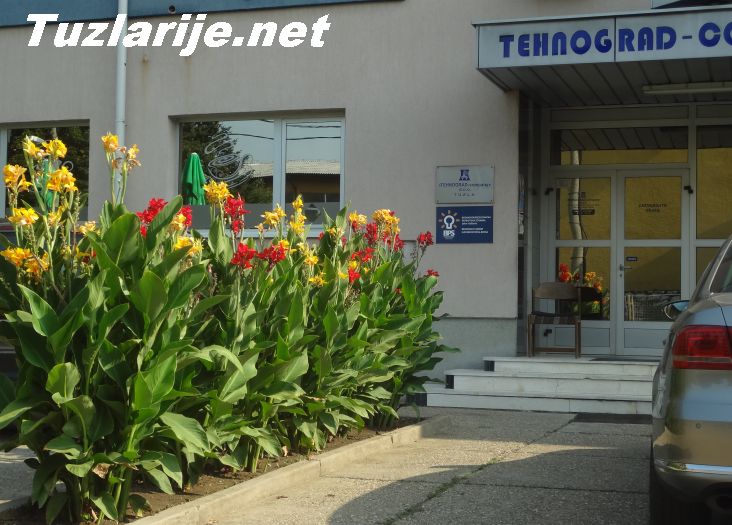 Tuzlarije