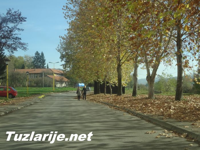 Tuzlarije