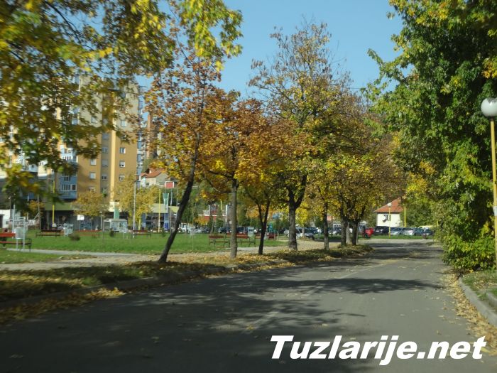 Tuzlarije