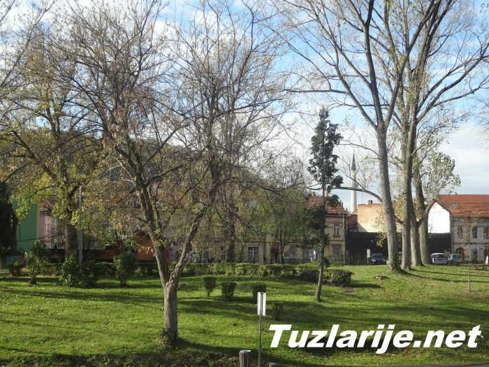 Tuzlarije