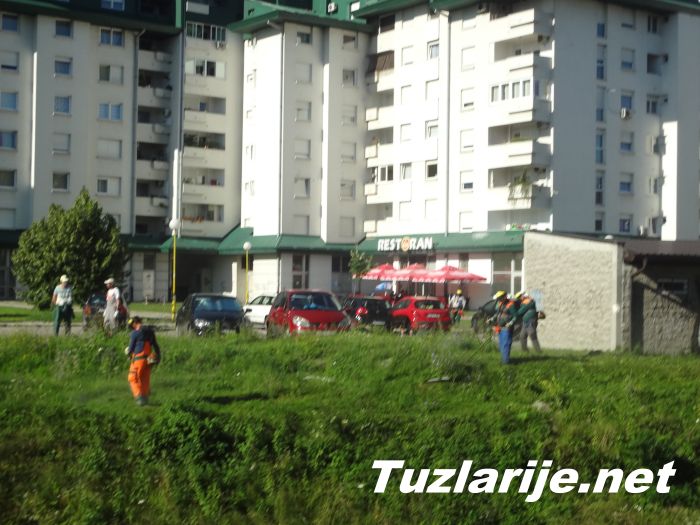 Tuzlarije