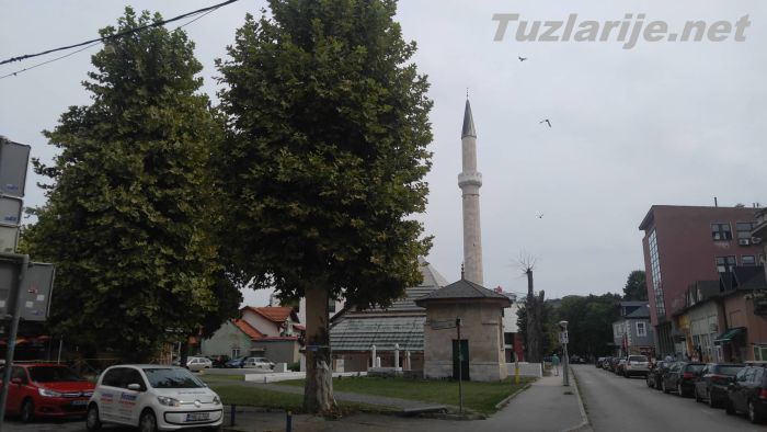 Tuzlarije