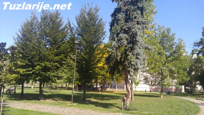 Tuzlarije