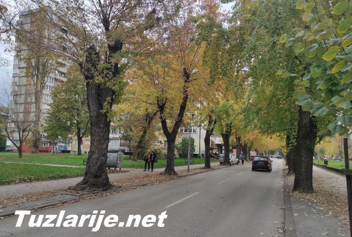 Tuzlarije