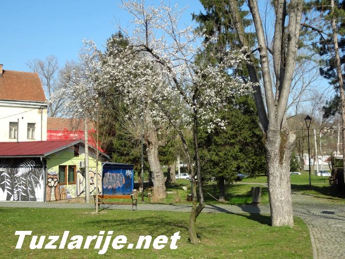Tuzlarije