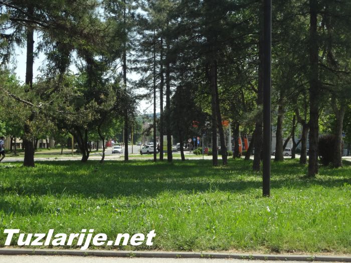 Tuzlarije