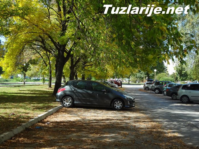 Tuzlarije