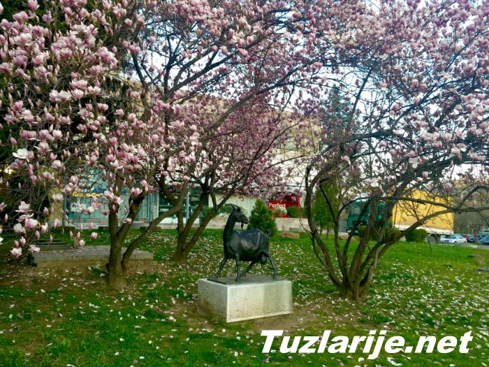Tuzlarije