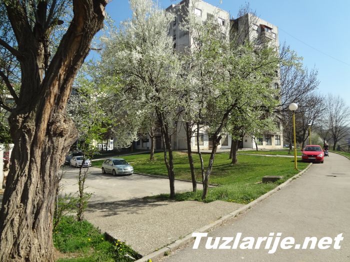 Tuzlarije