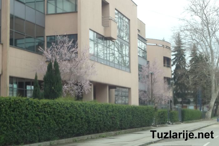 Tuzlarije
