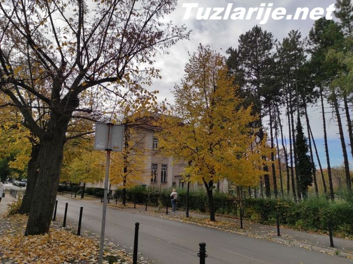 Tuzlarije