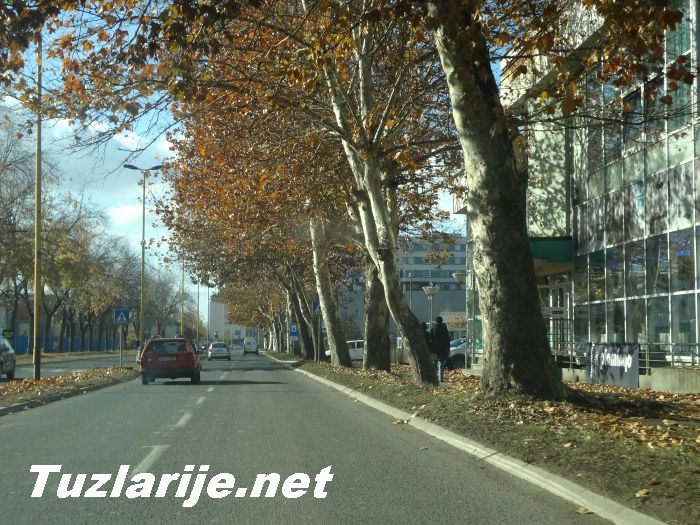 Tuzlarije