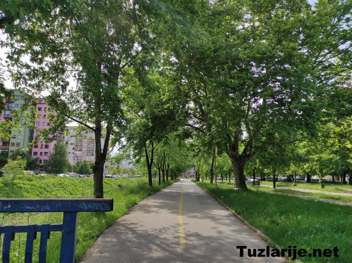 Tuzlarije