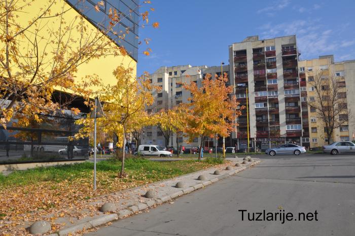 Tuzlarije