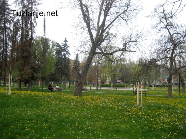 Tuzlarije