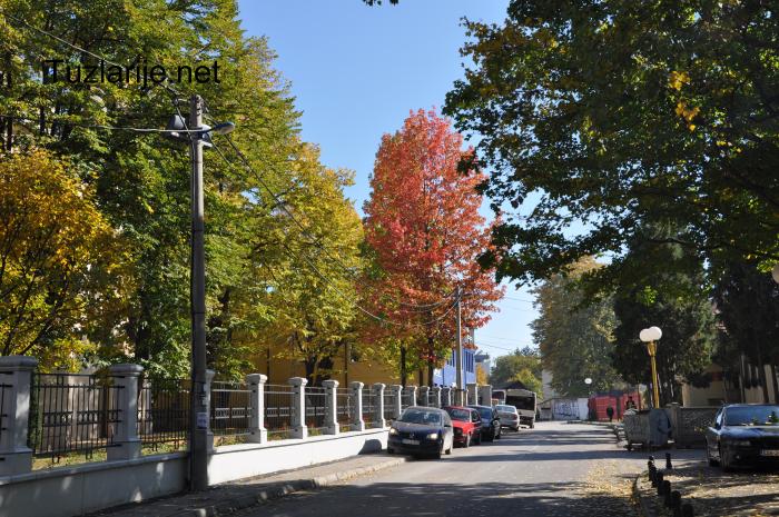 Tuzlarije