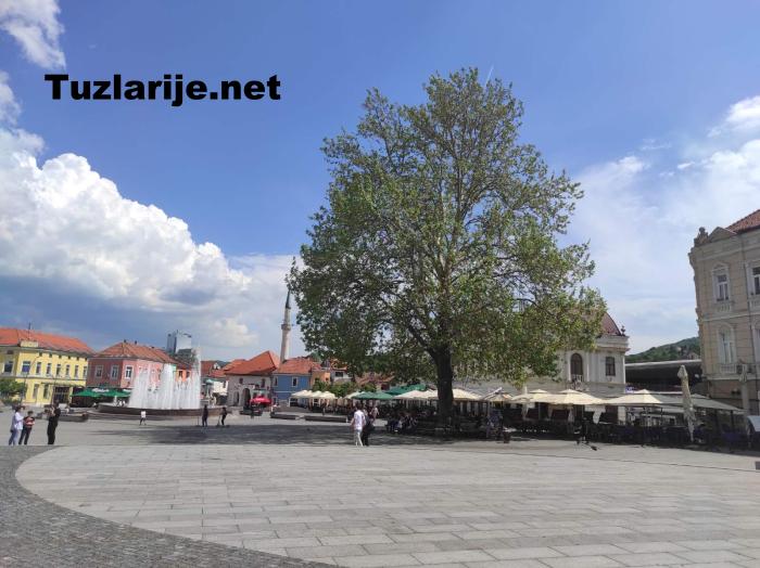 Tuzlarije