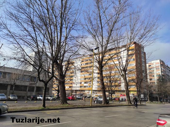 Tuzlarije