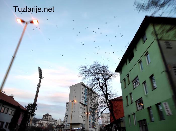 Tuzlarije