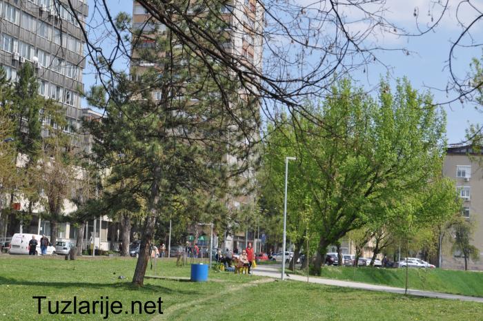 Tuzlarije