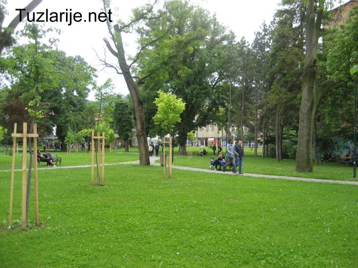 Tuzlarije