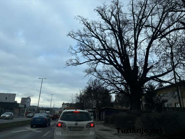 Tuzlarije