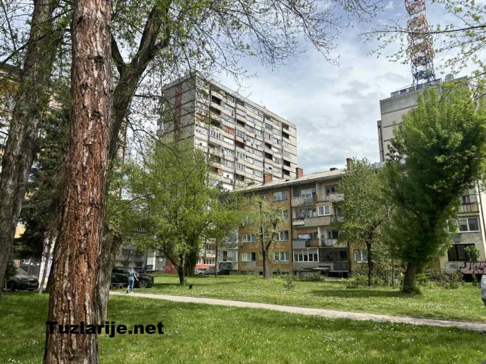 Tuzlarije