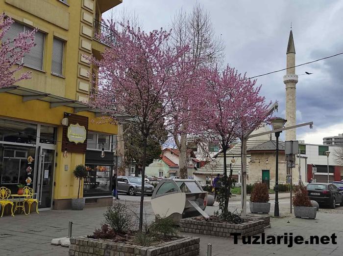 Tuzlarije
