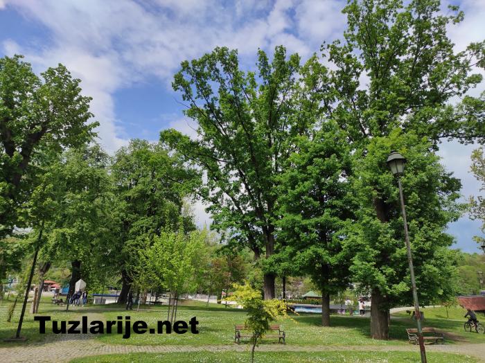 Tuzlarije