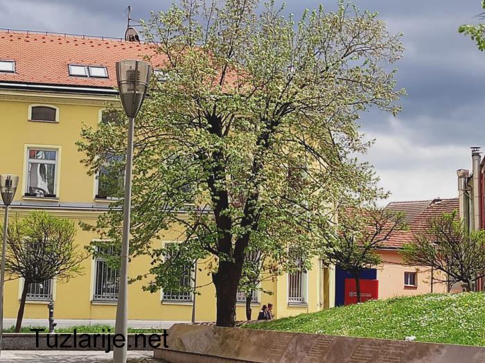 Tuzlarije