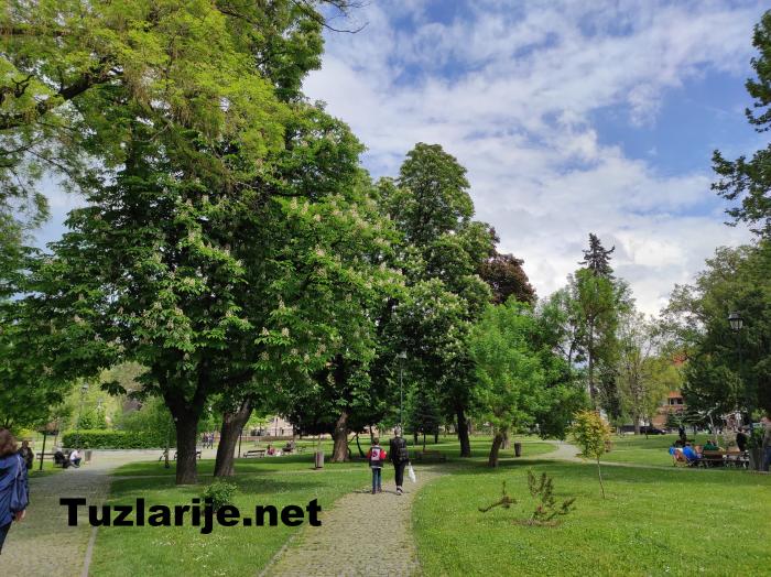 Tuzlarije
