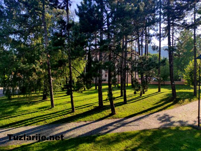 Tuzlarije