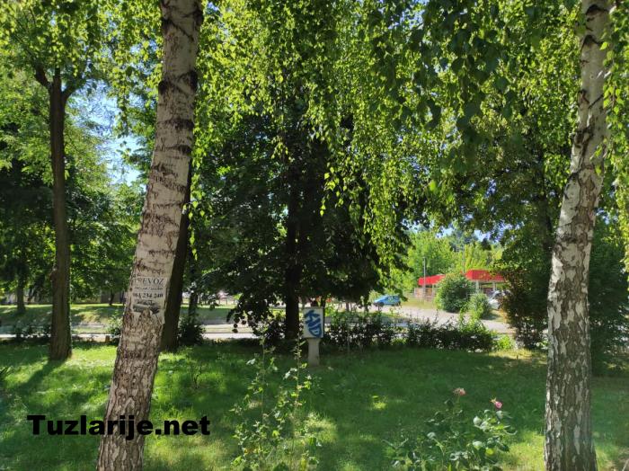 Tuzlarije