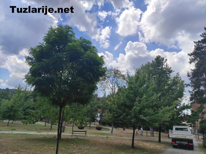 Tuzlarije