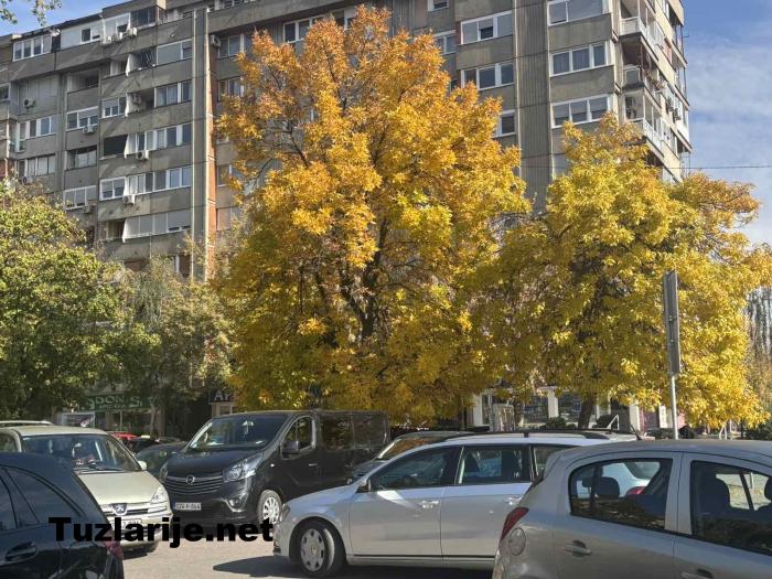 Tuzlarije