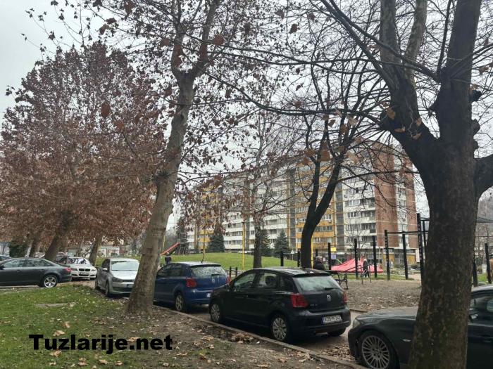 Tuzlarije