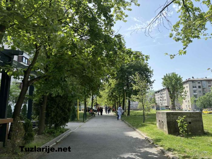 Tuzlarije
