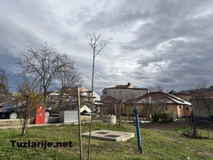 Tuzlarije