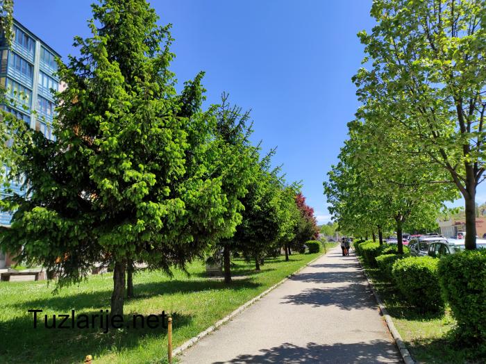 Tuzlarije