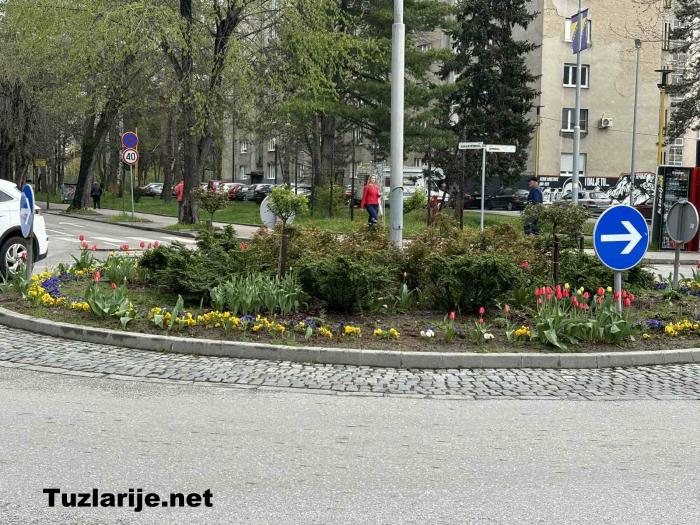 Tuzlarije