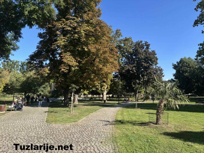 Tuzlarije