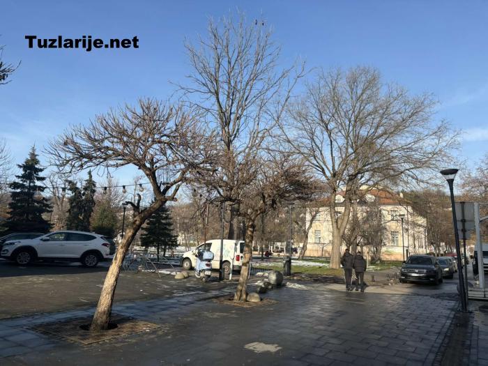 Tuzlarije