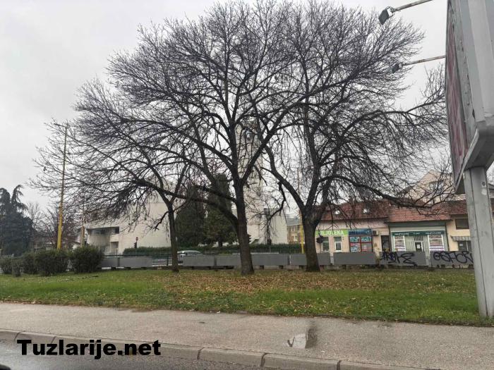 Tuzlarije