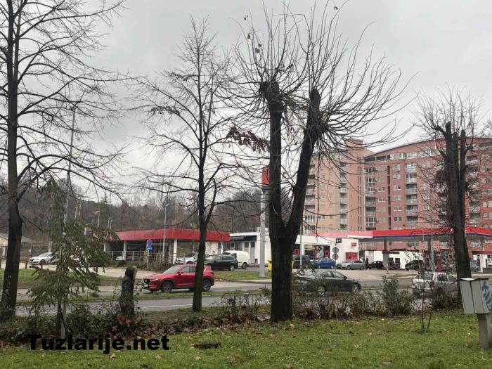 Tuzlarije