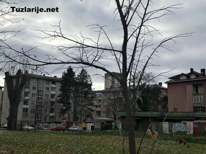 Tuzlarije