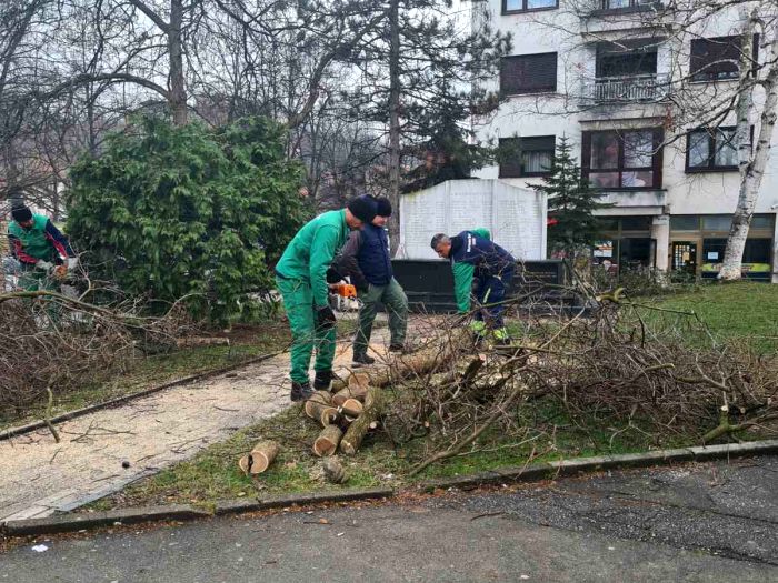Tuzlarije