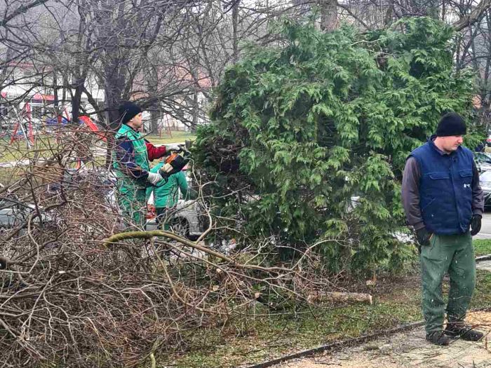 Tuzlarije