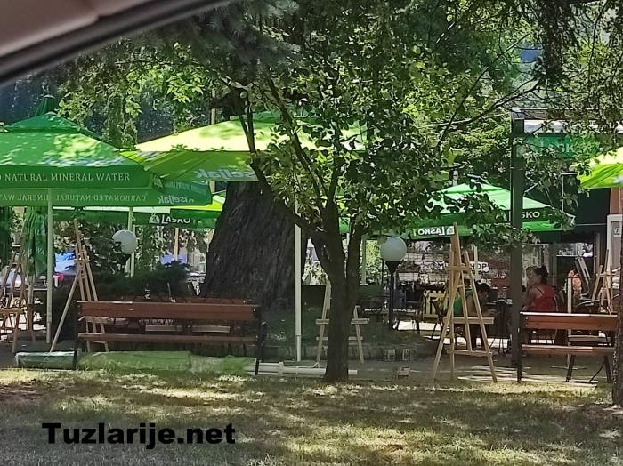 Tuzlarije