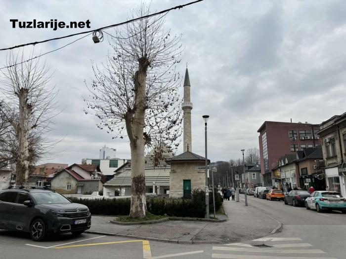 Tuzlarije
